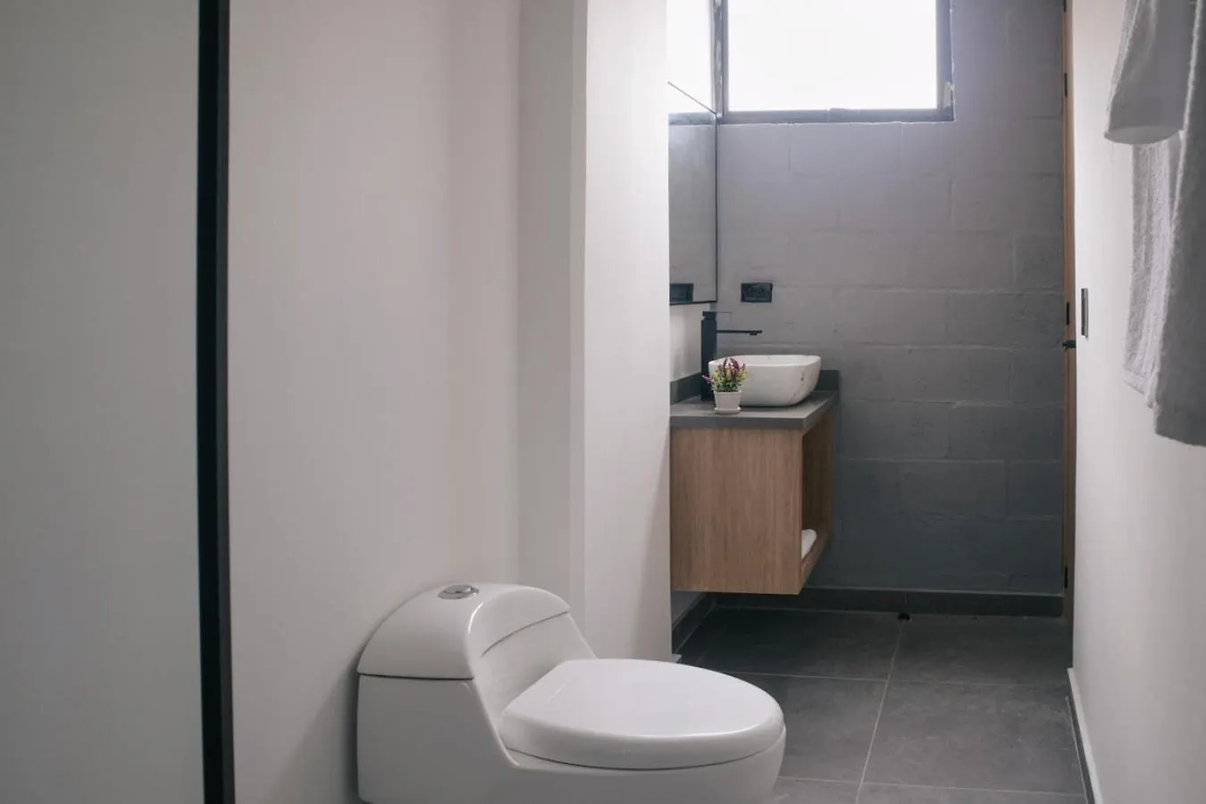 Comfortable Escape Rosa Negra Stadio Apartasuite Medellin Apartment